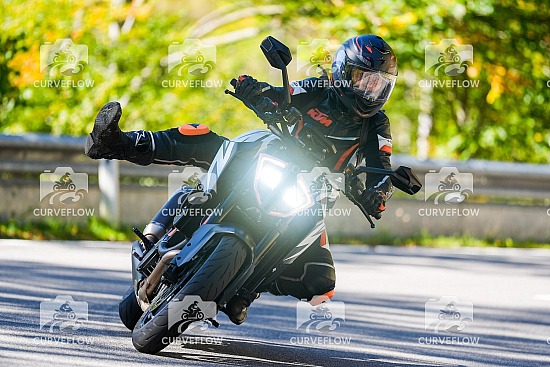 20250921 Wildalpen B24 10:30-14:00 GPS 47.697759, 15.191386